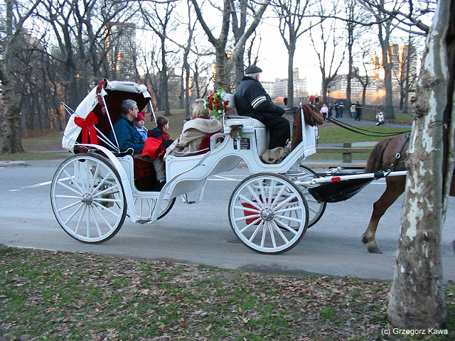 Central Park - the huge park located in the center of Manhattan.