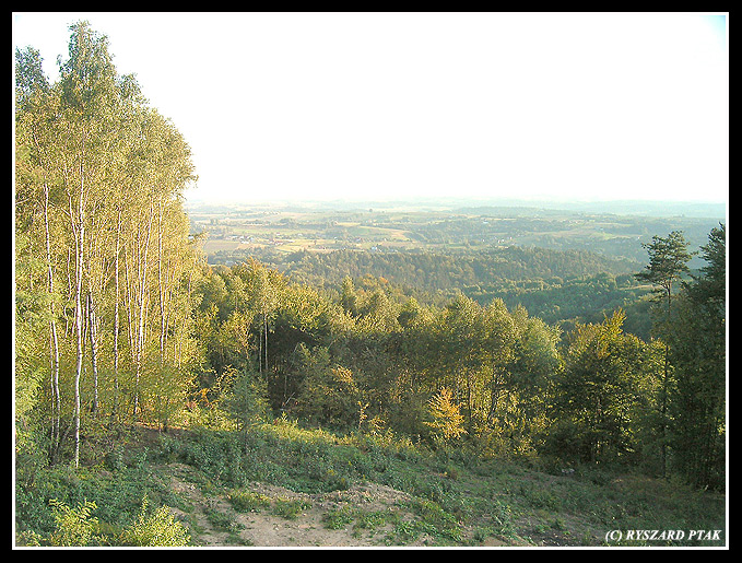 Widok z wieży