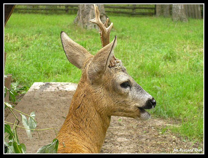 MAZURY-038.jpg