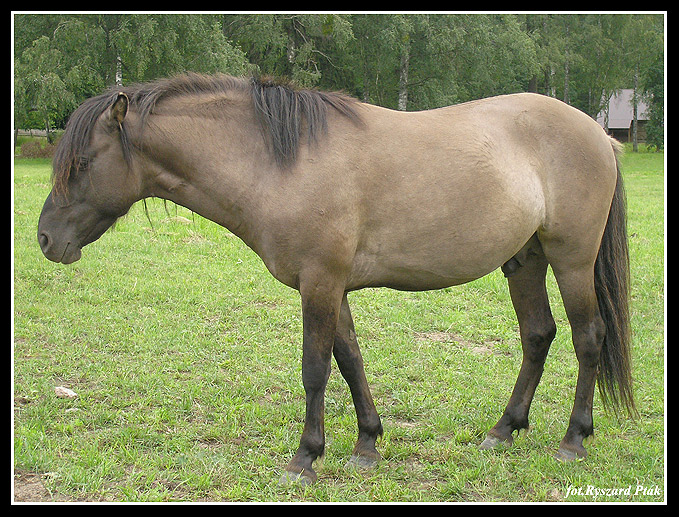 MAZURY-040.jpg