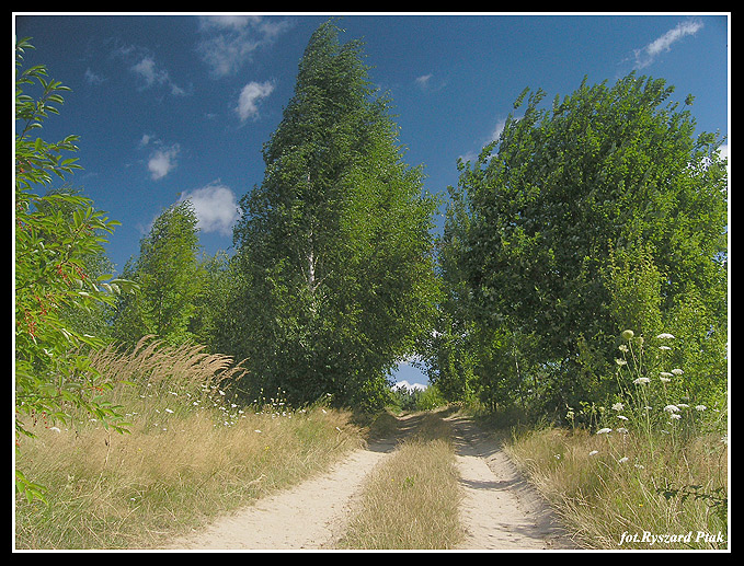 MAZURY-041.jpg