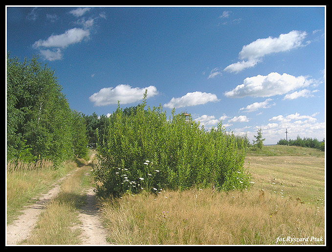 MAZURY-051.jpg