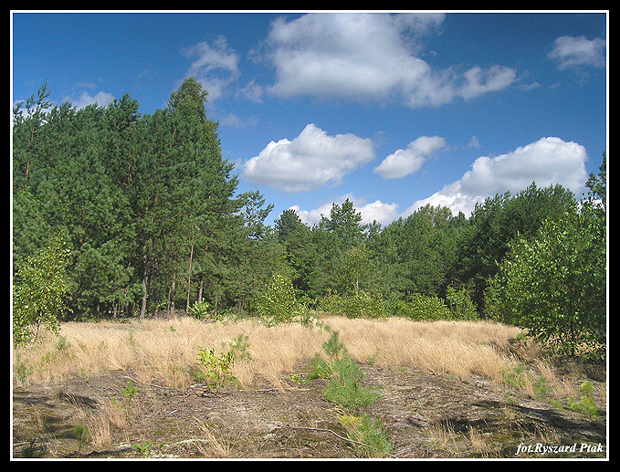 MAZURY-070.jpg