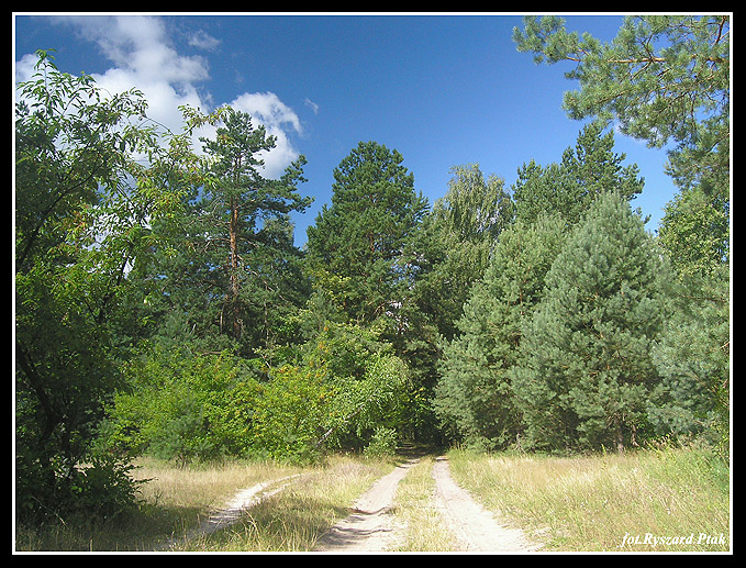 MAZURY-071.jpg