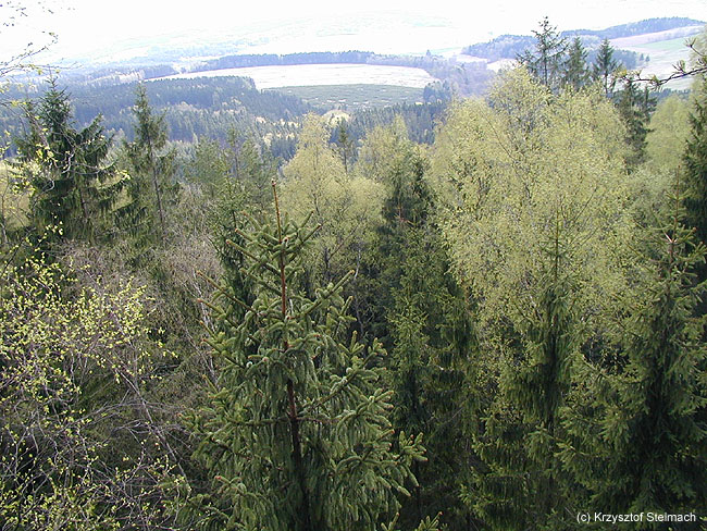 "...fly like an eagle" ;)