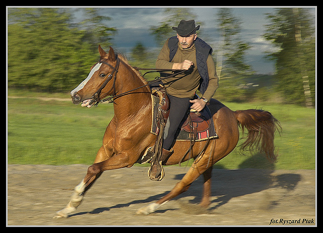 GALOP-026.jpg