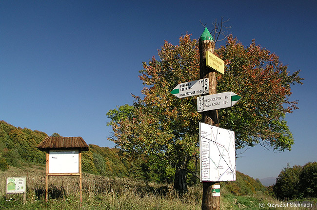 Przy szlaku na Połoniny