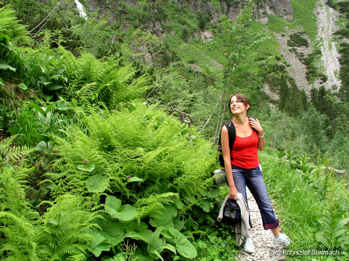 Ciekawe do kogo tak suszy zęby...? ;)