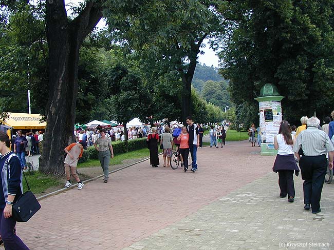 Krynica